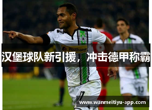 汉堡球队新引援，冲击德甲称霸