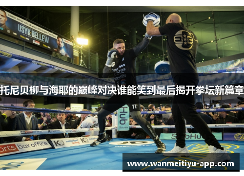托尼贝柳与海耶的巅峰对决谁能笑到最后揭开拳坛新篇章